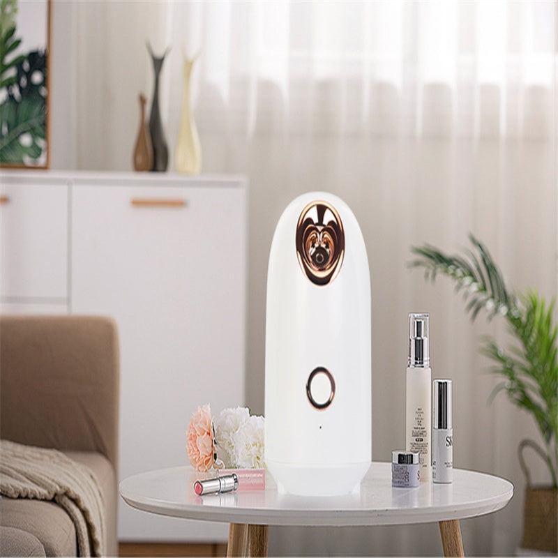 Portable Facial Beauty Steamer with 20-Minute Spray Time